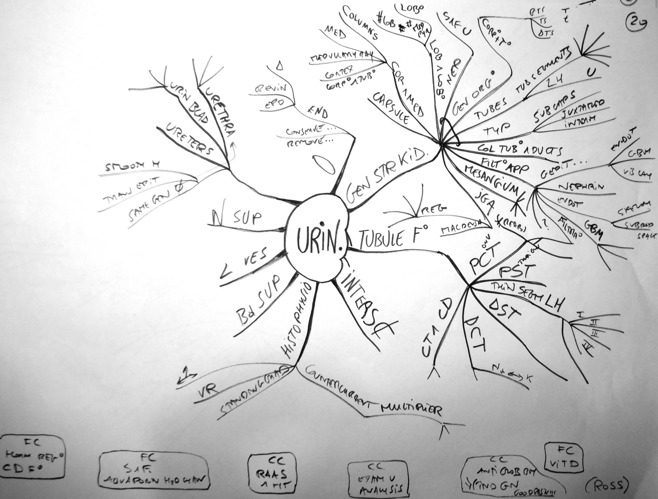 ross_histology_6e_2011